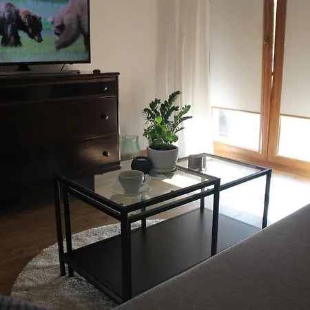 One Cracow Apartment *